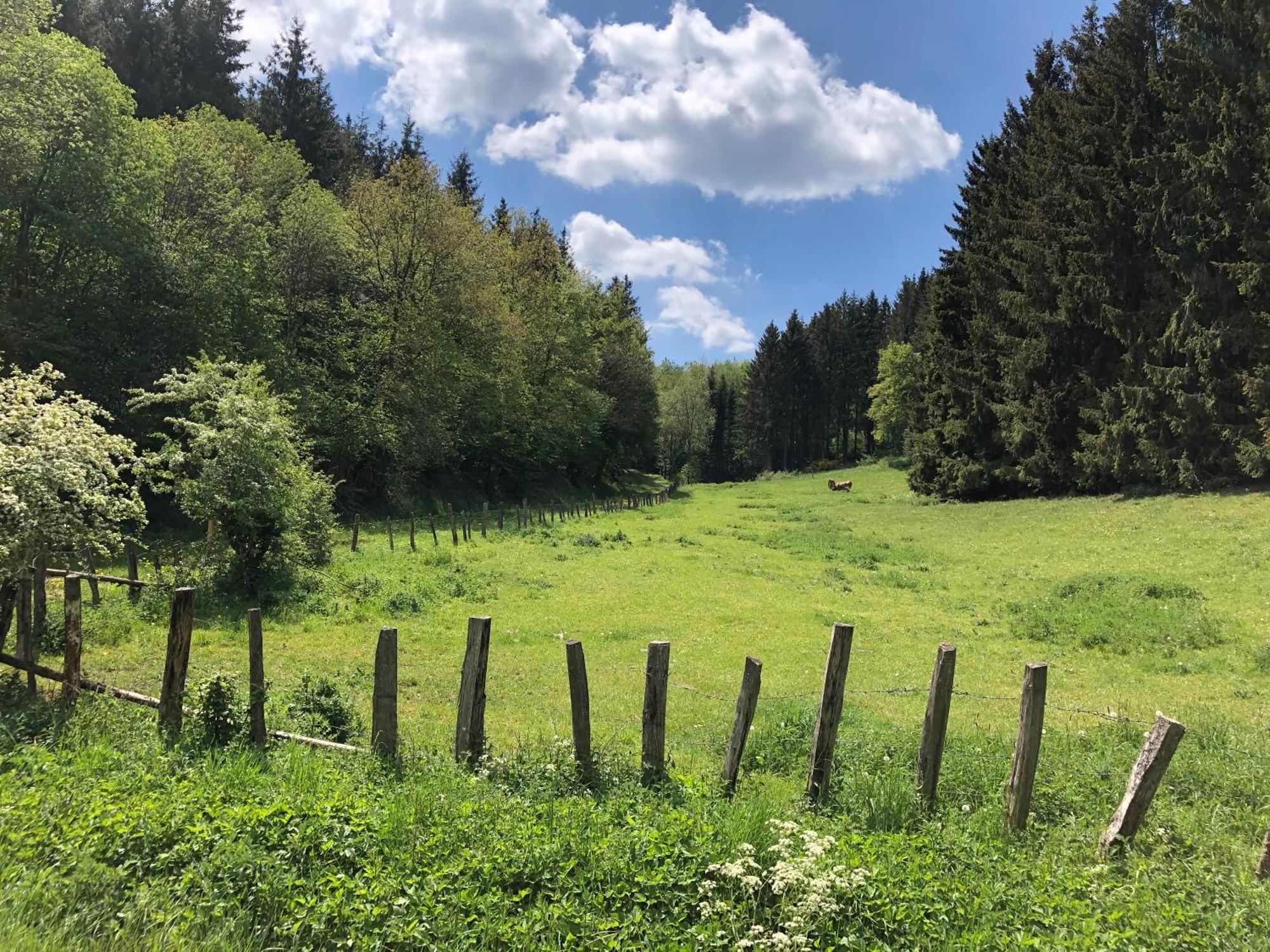 Holzhaus Onkel Fritz Mit Sauna Und Whirlwanne Esch  Экстерьер фото